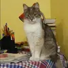 Отзыв от Римма Нестерова